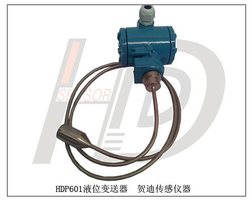 HDP601F投入式不锈钢液位变送器（防爆）
